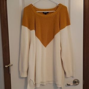 Express Oversized Knit Tunic Sweater